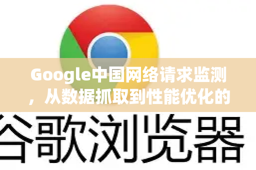Google中国网络请求监测，从数据抓取到性能优化的全面解析
