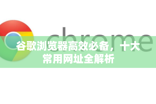 谷歌浏览器高效必备，十大常用网址全解析