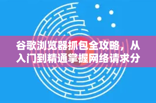 谷歌浏览器抓包全攻略，从入门到精通掌握网络请求分析