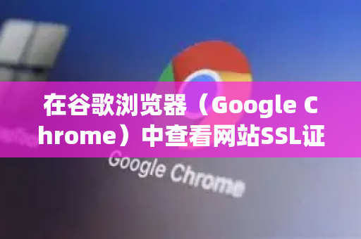 在谷歌浏览器（Google Chrome）中查看网站SSL证书的详细步骤如下-第1张图片-Google中文下载 - 轻松获取安全快速的浏览器体验