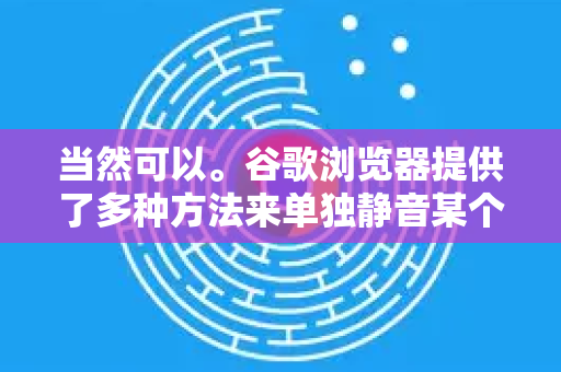 当然可以。谷歌浏览器提供了多种方法来单独静音某个网站，而不是静音所有标签页