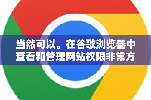 当然可以。在谷歌浏览器中查看和管理网站权限非常方便。你可以针对当前访问的网站进行实时控制，也可以查看和管理所有网站的权限设置-第1张图片-Google中文下载 - 轻松获取安全快速的浏览器体验