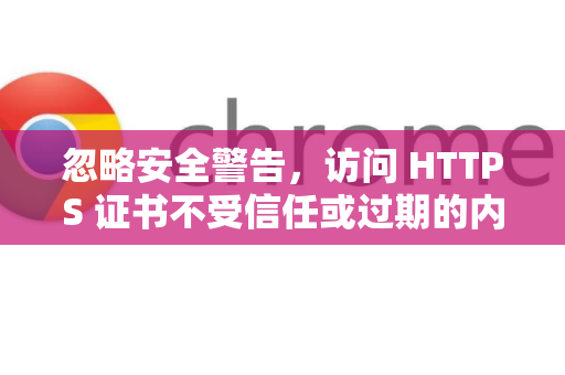 忽略安全警告，访问 HTTPS 证书不受信任或过期的内部网站、测试网站等