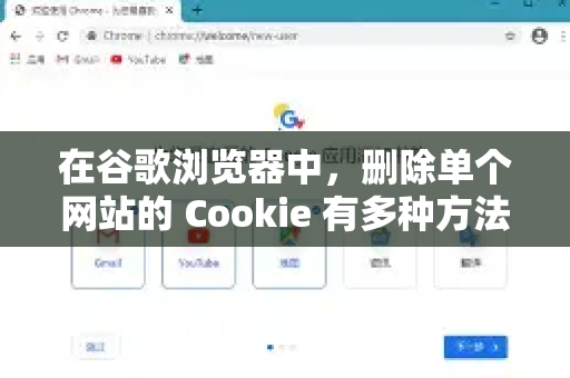 在谷歌浏览器中，删除单个网站的 Cookie 有多种方法，你可以根据具体情况选择最方便的一种-第1张图片-Google中文下载 - 轻松获取安全快速的浏览器体验