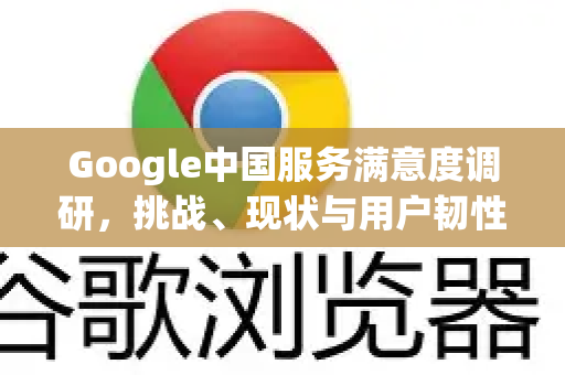 Google中国服务满意度调研,挑战、现状与用户韧性生态-第1张图片-Google中文下载 - 轻松获取安全快速的浏览器体验 Google中国服务满意度调研,挑战、现状与用户韧性生态-第1张图片-Google中文下载 - 轻松获取安全快速的浏览器体验