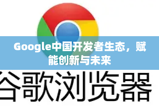 Google中国开发者生态，赋能创新与未来